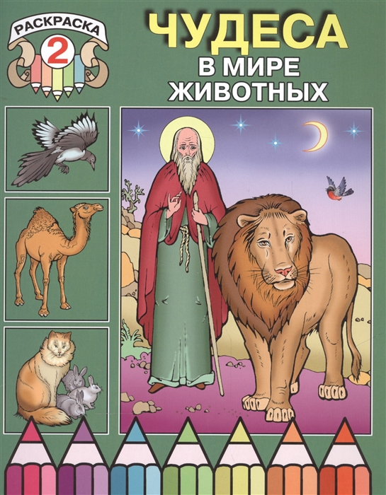

Чудеса в мире животных Раскраска 2