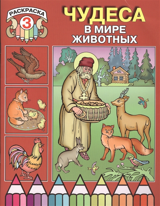 

Чудеса в мире животных Раскраска 3