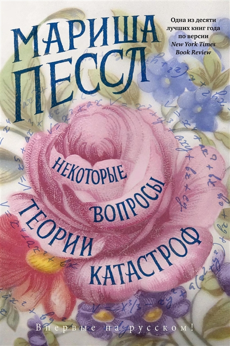 

Некоторые вопросы теории катастроф