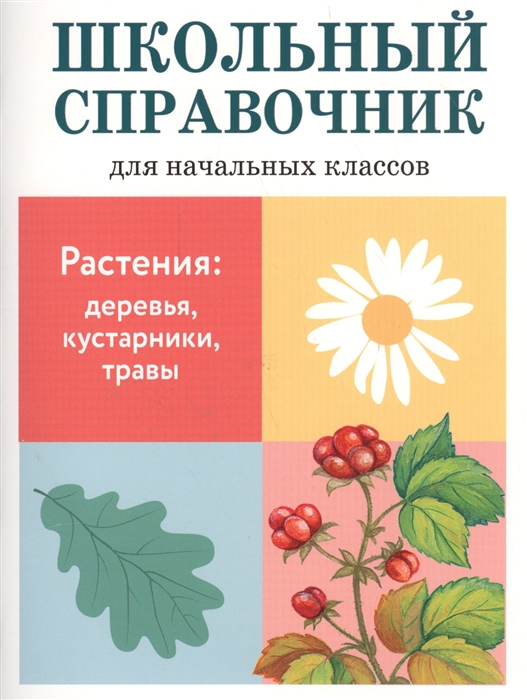 

Растения деревья кустарники травы