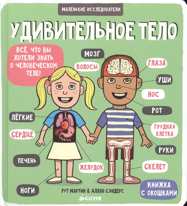 Рут М. - Удивительное тело Все что вы хотели знать о человеческом теле Книжка с окошками