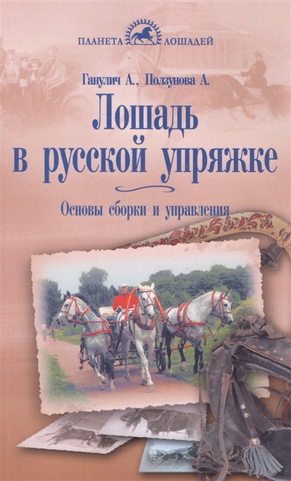 

Лошадь в русской упряжке Основы сборки и управления