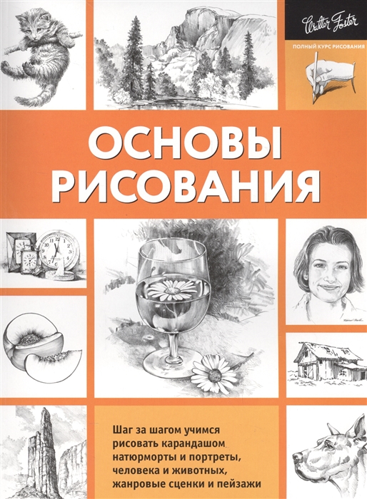 

Основы рисования