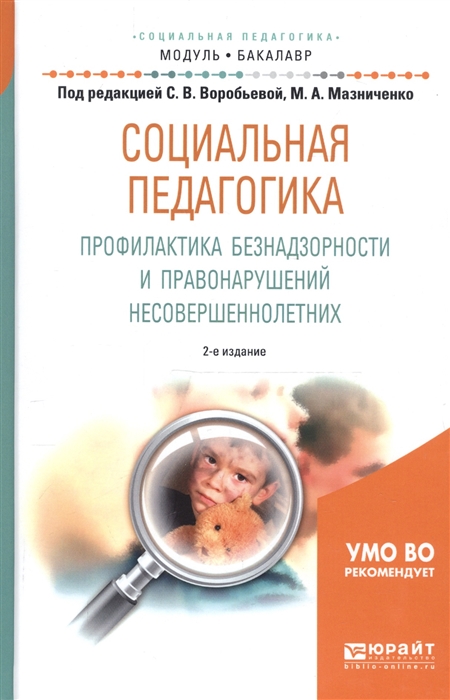 

Социальная педагогика Профилактика безнадзорности и правонарушений несовершеннолетних Учебное пособие для академического бакалавриата