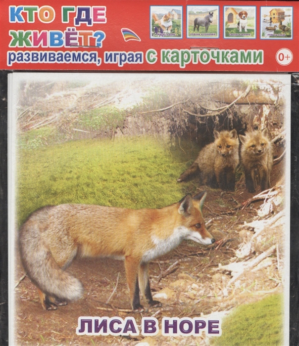 

Обучающие карточки Кто где живет