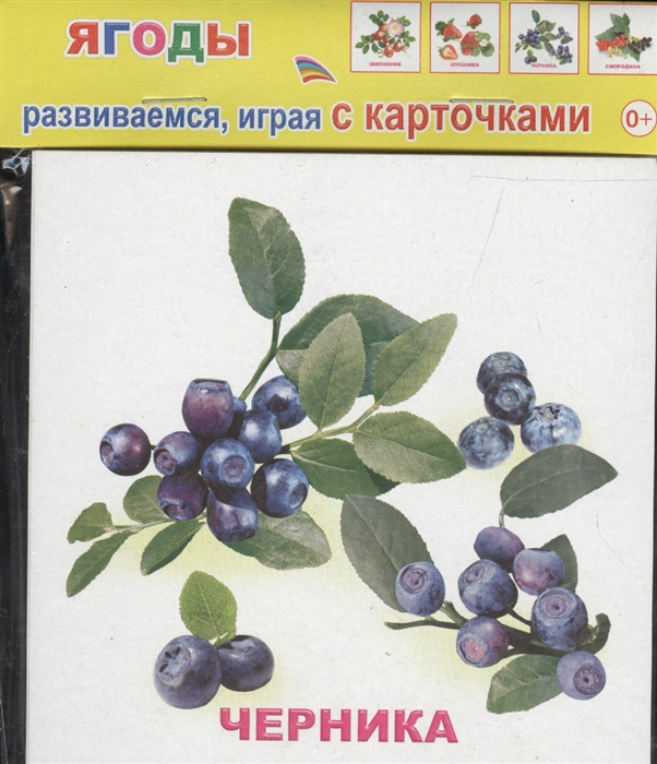 

Обучающие карточки Ягоды