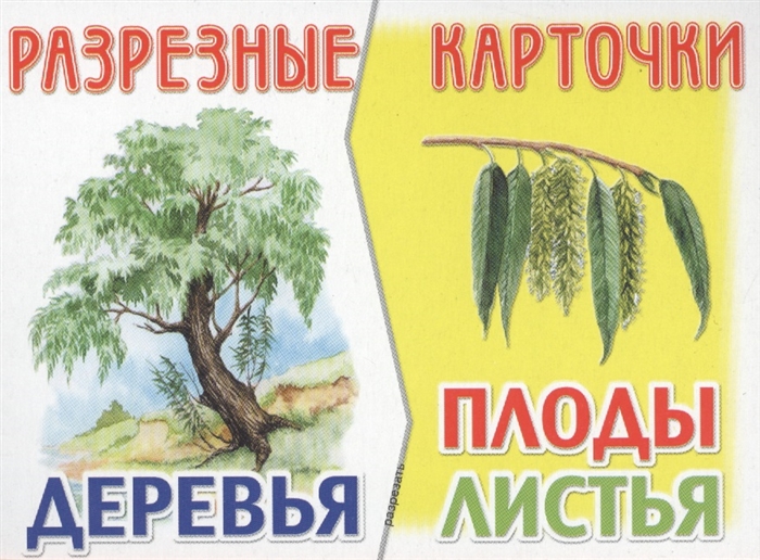 

Разрезные карточки Деревья Плоды Листья
