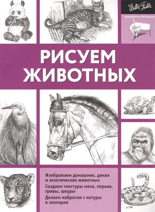 

Рисуем животных