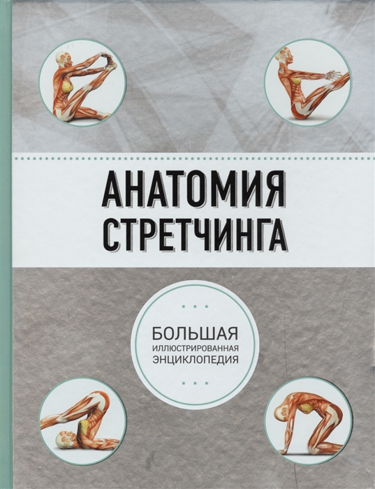 

Анатомия стретчинга Большая иллюстрированная энциклопедия