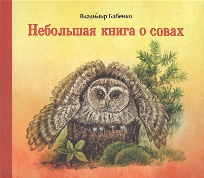 

Небольшая книга о совах