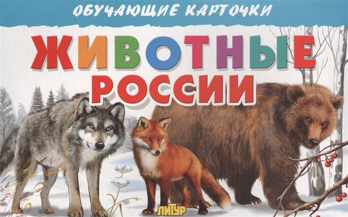 

Обучающие карточки Животные России