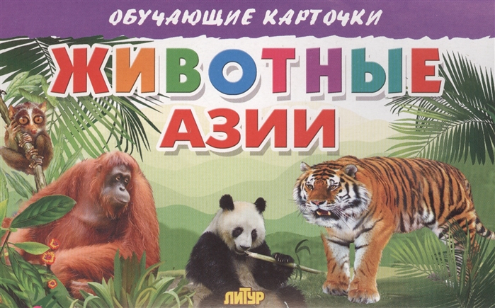 

Обучающие карточки Животные Азии