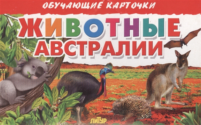 

Обучающие карточки Животные Австралии