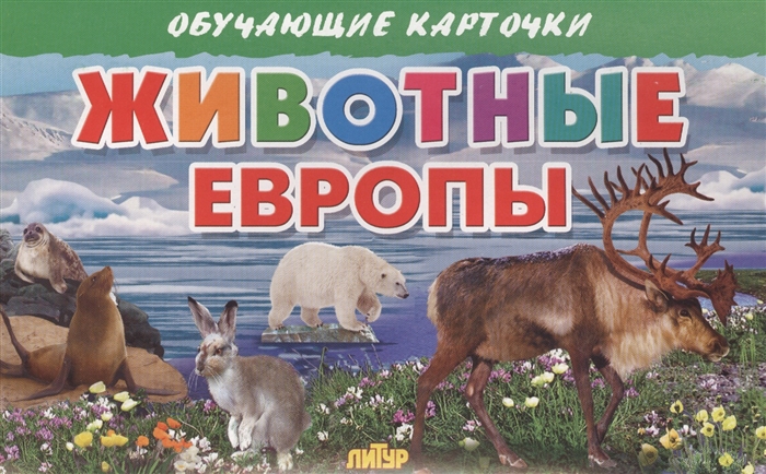 

Обучающие карточки Животные Европы
