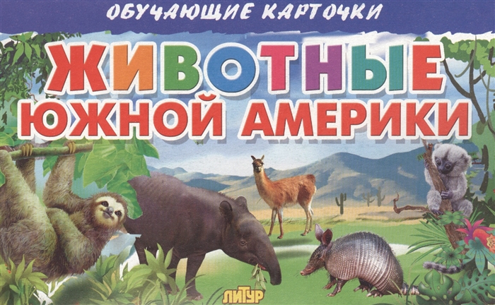 

Обучающие карточки Животные Южной Америки