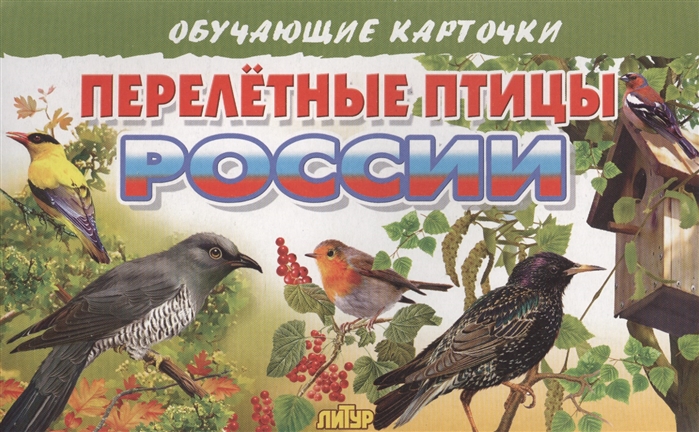 

Обучающие карточки Перелетные птицы России