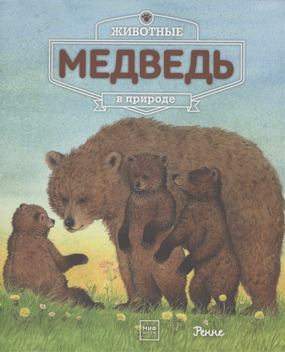 

Животные в природе Медведь