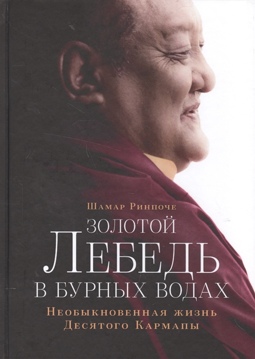 

Золотой лебедь в бурных водах Необыкновенная жизнь Десятого Кармапы
