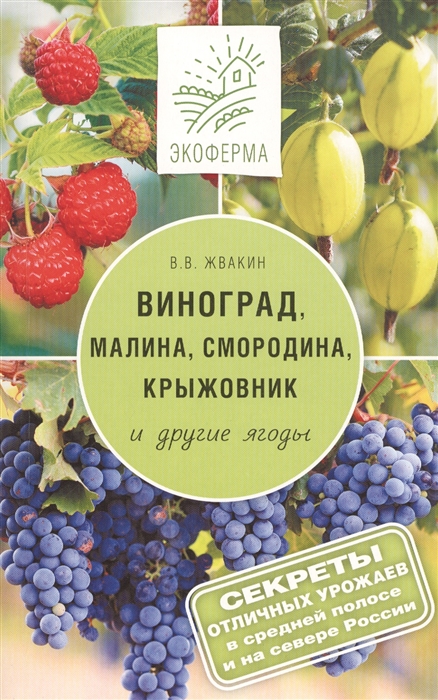 

Виноград малина смородина крыжовник и другие ягоды Секреты отличных урожаев в средней полосе и на севере России