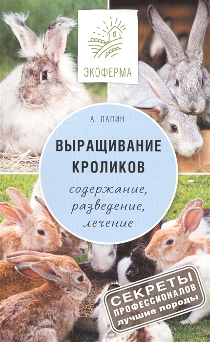 

Выращивание кроликов Как содержать разводить и лечить - советы профессионалов Лучшие породы