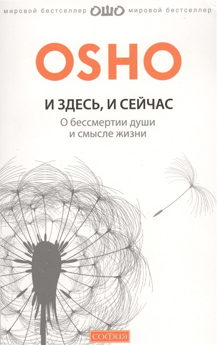 

И здесь и сейчас О бессмертии души и смысле жизни