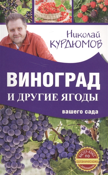 

Виноград и другие ягоды вашего сада