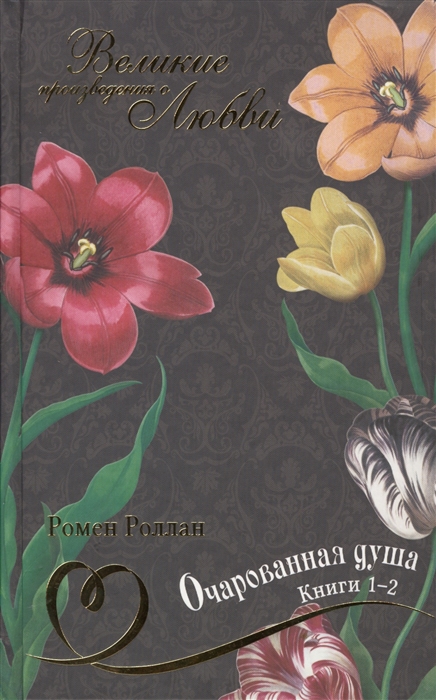 

Очарованная душа Книги 1-2 Том 24