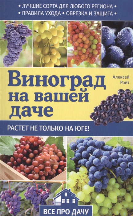 Виноград на вашей даче Растет не только на юге