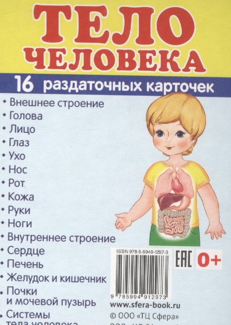 

Тело человека 16 раздаточных карточек
