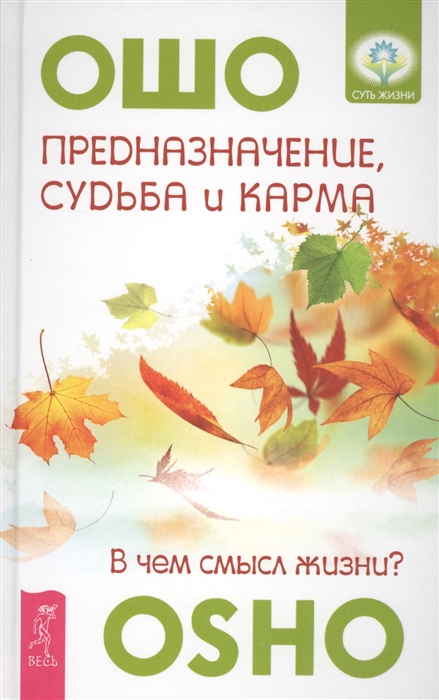 

Предназначение судьба и карма В чем смысл жизни