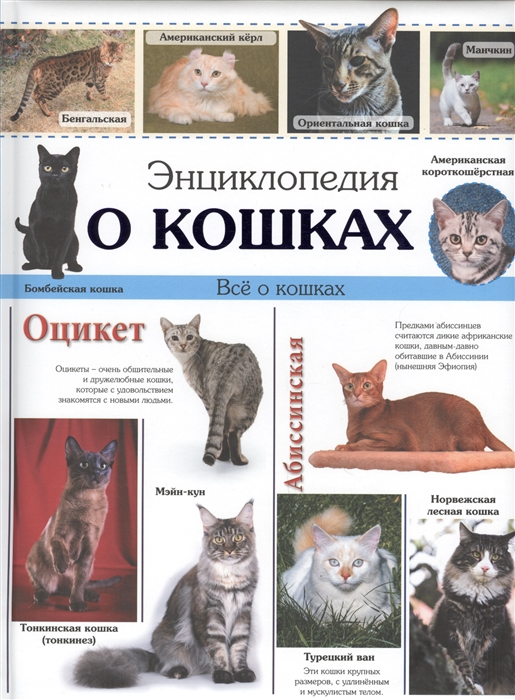 

Энциклопедия о кошках