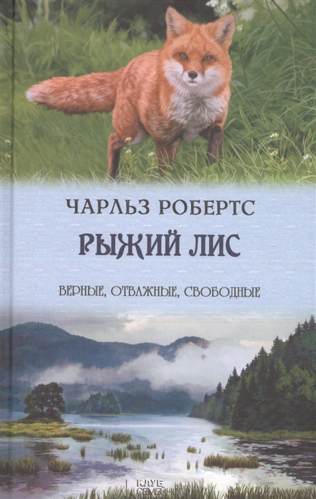 

Рыжий лис