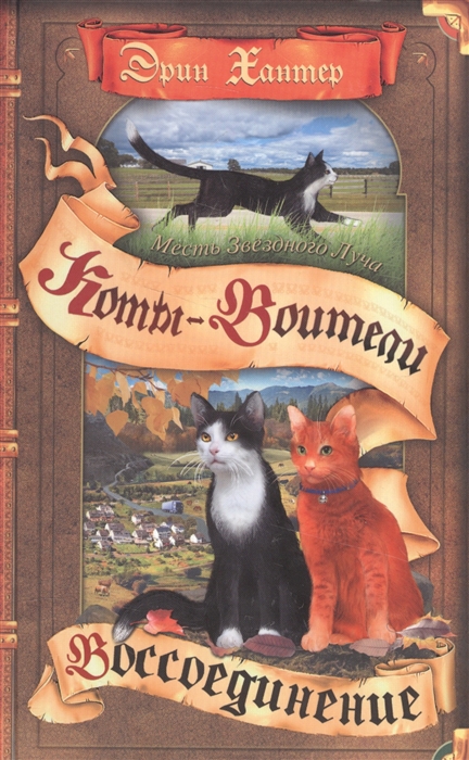 

Месть звездного луча Воссоединение Книга II