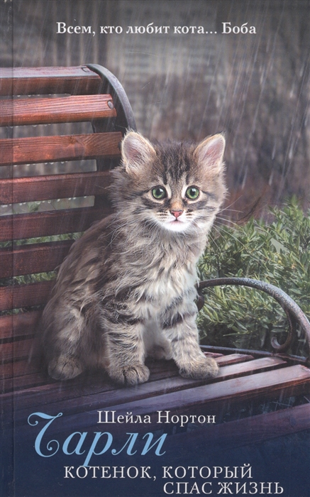 

Чарли. Котенок, который спас жизнь
