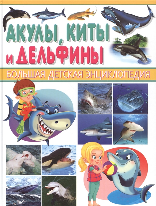 

Акулы киты и дельфины