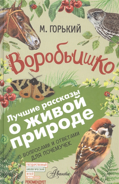 

Воробьишко С вопросами и ответами для почемучек
