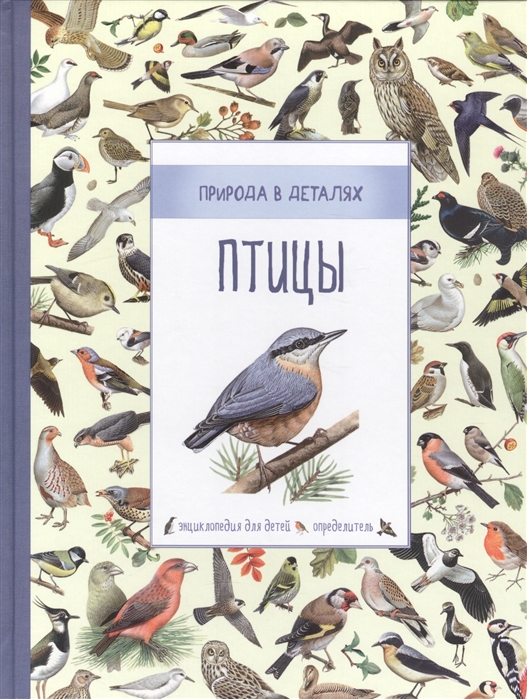 

Птицы Энциклопелия для детей Определитель