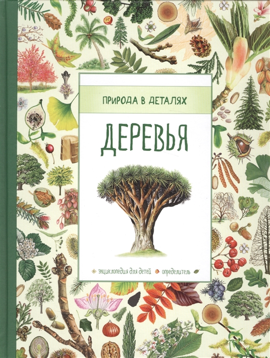 

Деревья Энциклопелия для детей Определитель