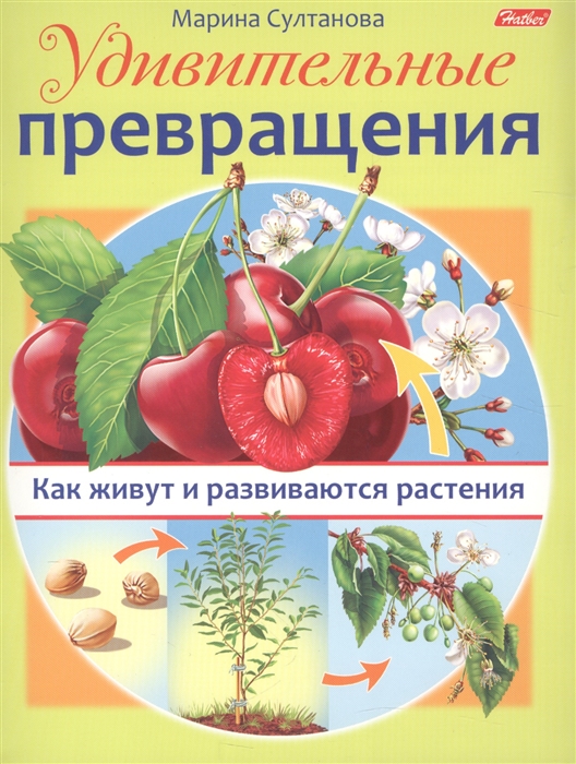 

Удивительные превращения Как живут и развиваются растения