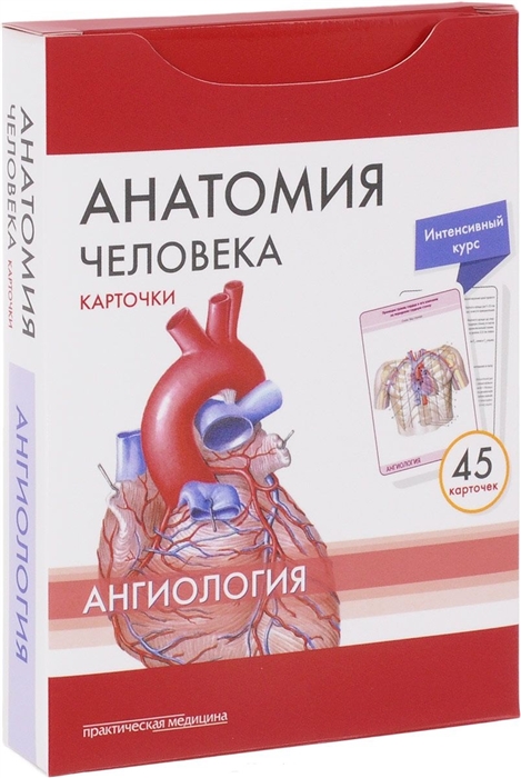 Сапин М., Николенко В., Тимофеева М. - Анатомия человека Ангиология 45 карточек