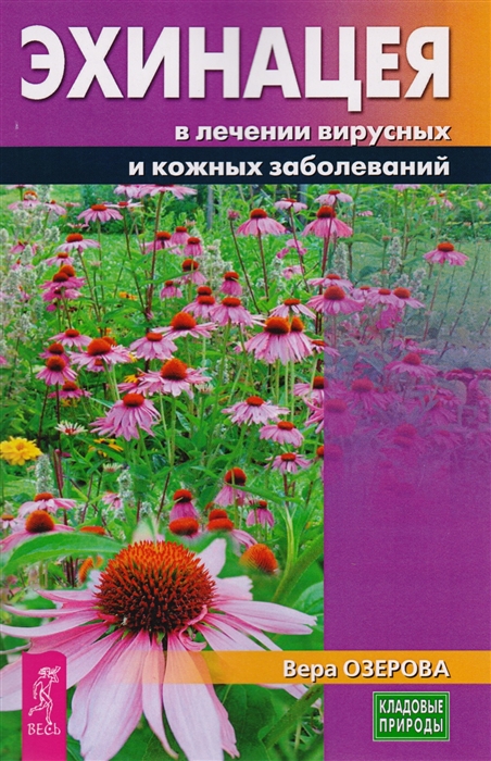 

Эхинацея в лечении вирусных и кожных заболеваний