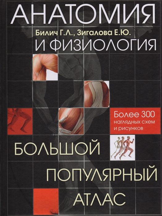 

Анатомия и физиология Большой популярный атлас Более 300 наглядных схем и рисунков