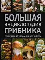 Большая энциклопедия грибника. Собираем, готовим, консервируем Большая энциклопедия грибника. Собираем, готовим, консервируем