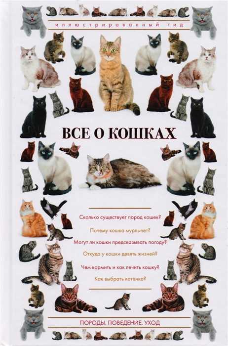 

Все о кошках