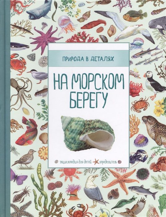 

На морском берегу