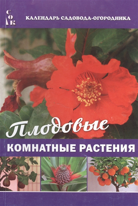 

Плодовые комнатные растения