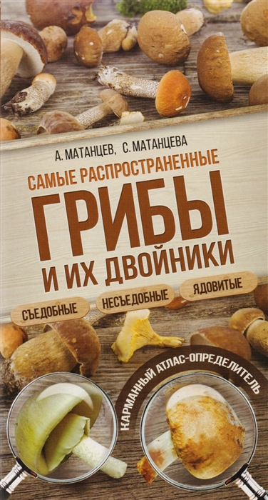 

Самые распространенные грибы и их двойники