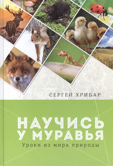 

Научись у муравья Уроки из мира природы