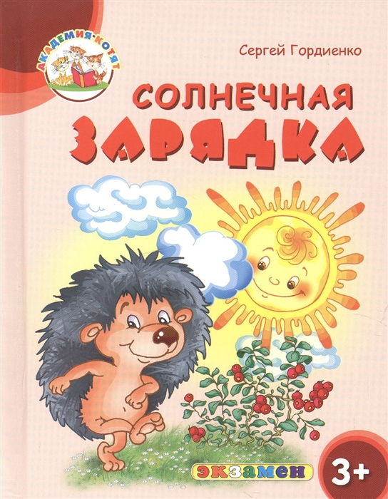 

Солнечная зарядка