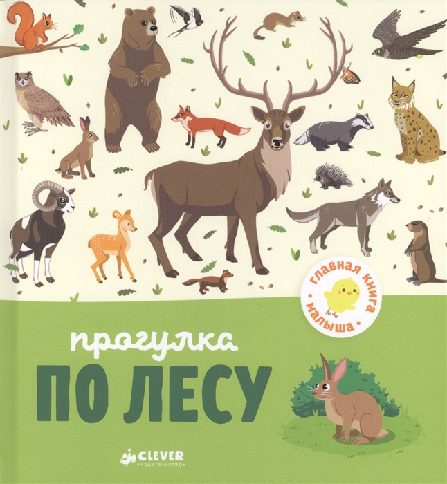 

Прогулка по лесу
